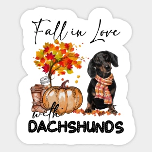 Black Dachshund Fall in Love Scarf Funny Dachshund Pumpkin Sticker